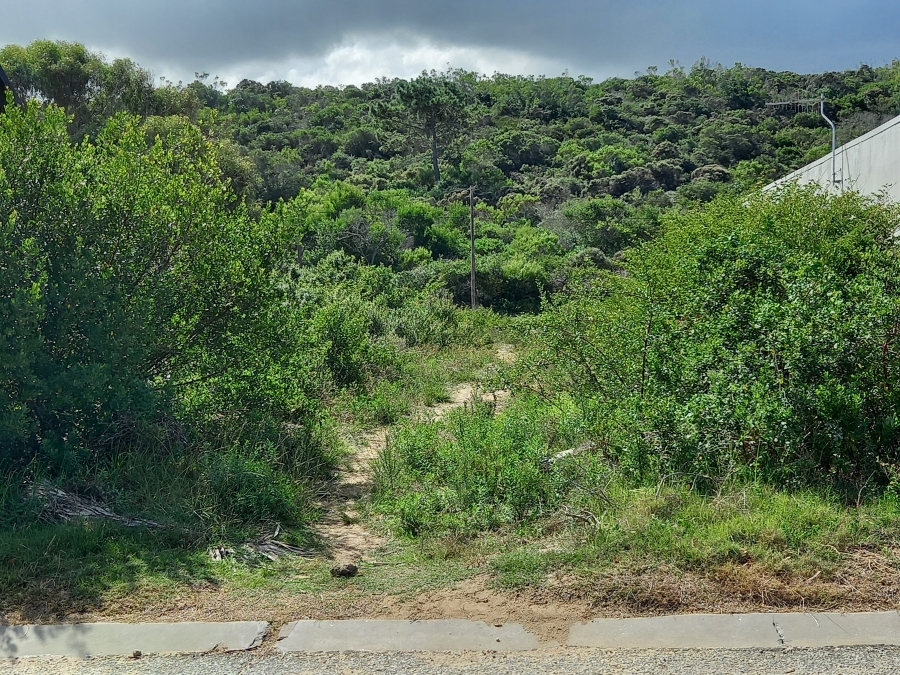 0 Bedroom Property for Sale in Kleinkrantz Western Cape